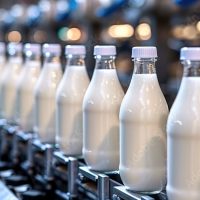 AdobeStock_974235328_Preview