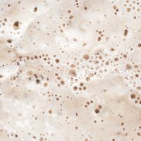 ROB_fermentation_695020775