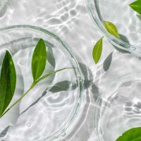 ROB_kosmetikentwicklung_533785122