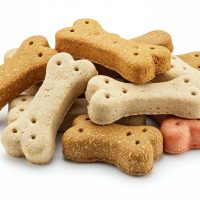 ROB_Tiersnacks_1628051757